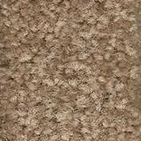 Beige Ocher Limestone Flooring