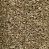 Beige Ocher Limestone Flooring