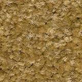 Beige Ocher Limestone Flooring