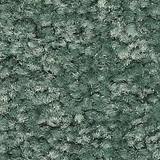 Beige Ocher Limestone Flooring